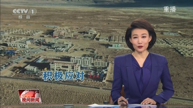 入网中