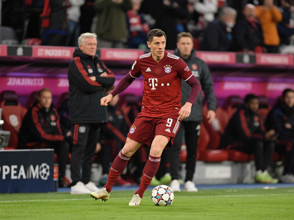 将有机会担 将有机会担